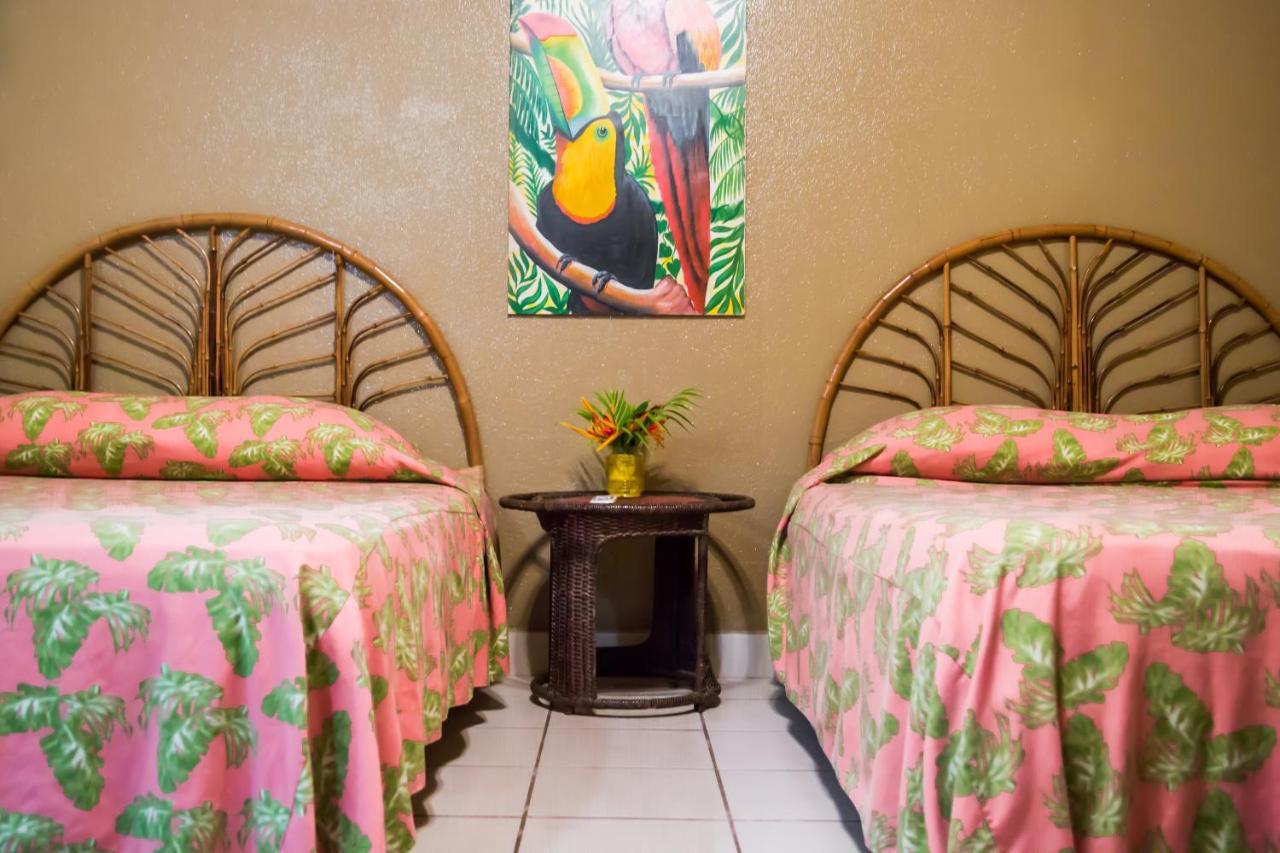 Hotel Coco Palms Playas del Coco 외부 사진